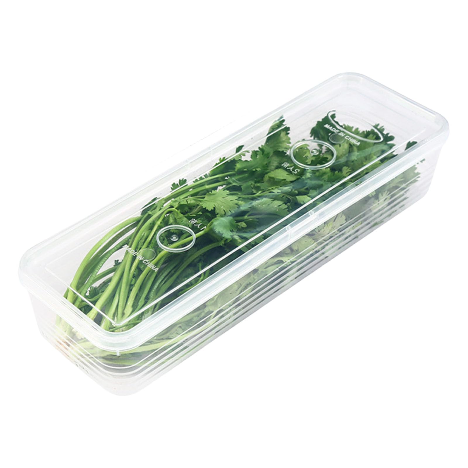 Mhadbkh Multicolor Efficient Kitchen Organizers Clear Seal Container Garlic Gingers Scallion Holder For Storing Noodles And Spices Fridge Storage Organizers
