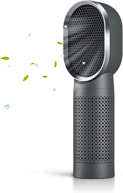 PIONAIR Portable Air Purifier and Ionizer with True HEPA Filter , for