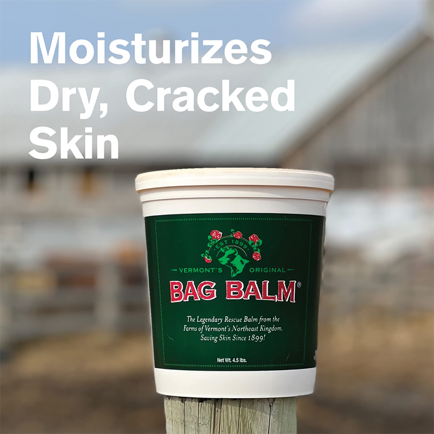 Bag Balm Vermont's Original Hand & Skin Moisturizer, Cracked Heels Treatment, Dry Hands & Dogs Ointment - 72oz Pail