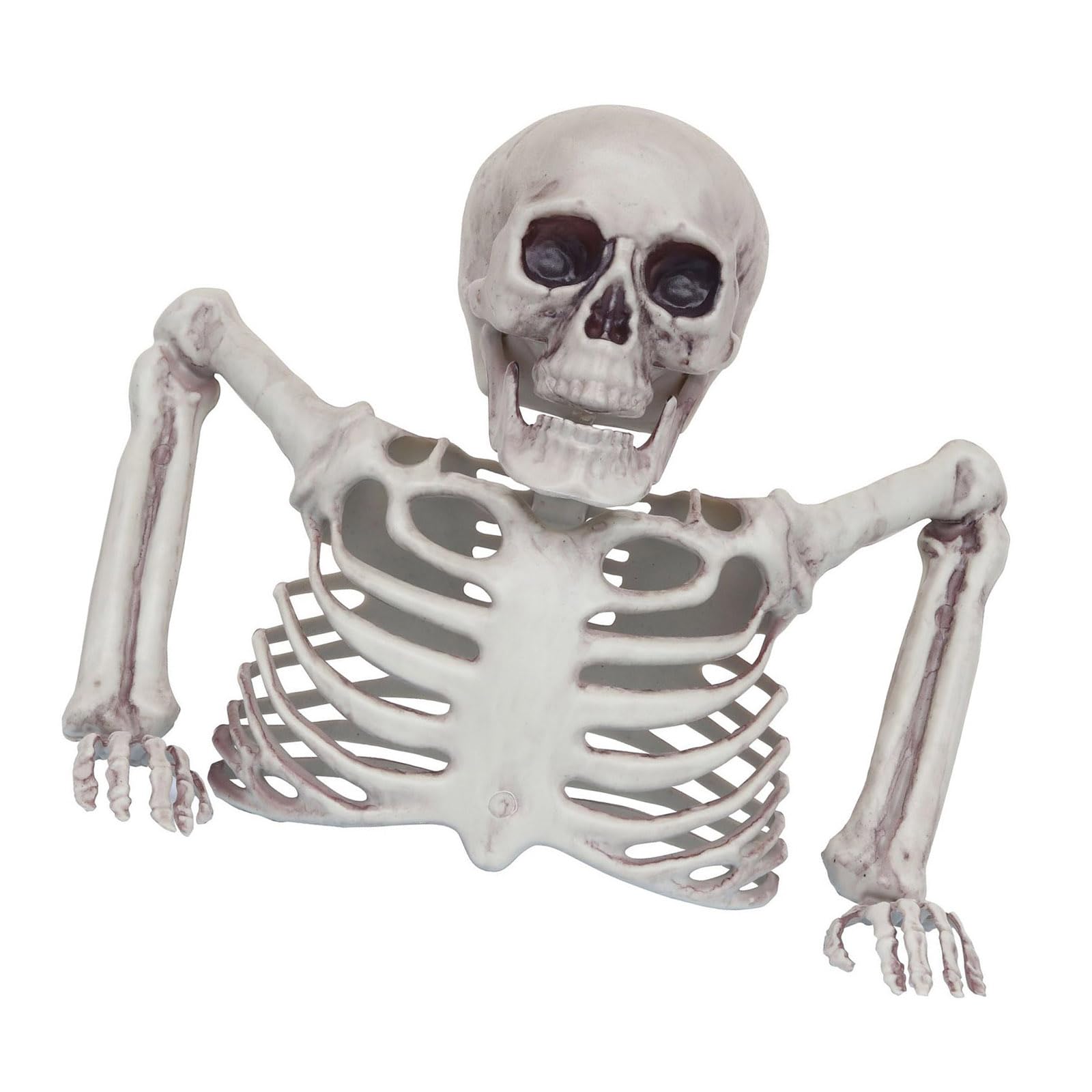 Tsophreniq Half Skeleton Props Perfect for Halloween Themed Event Eerie Skull Ornament and Horror Parties Scary Party Supplies