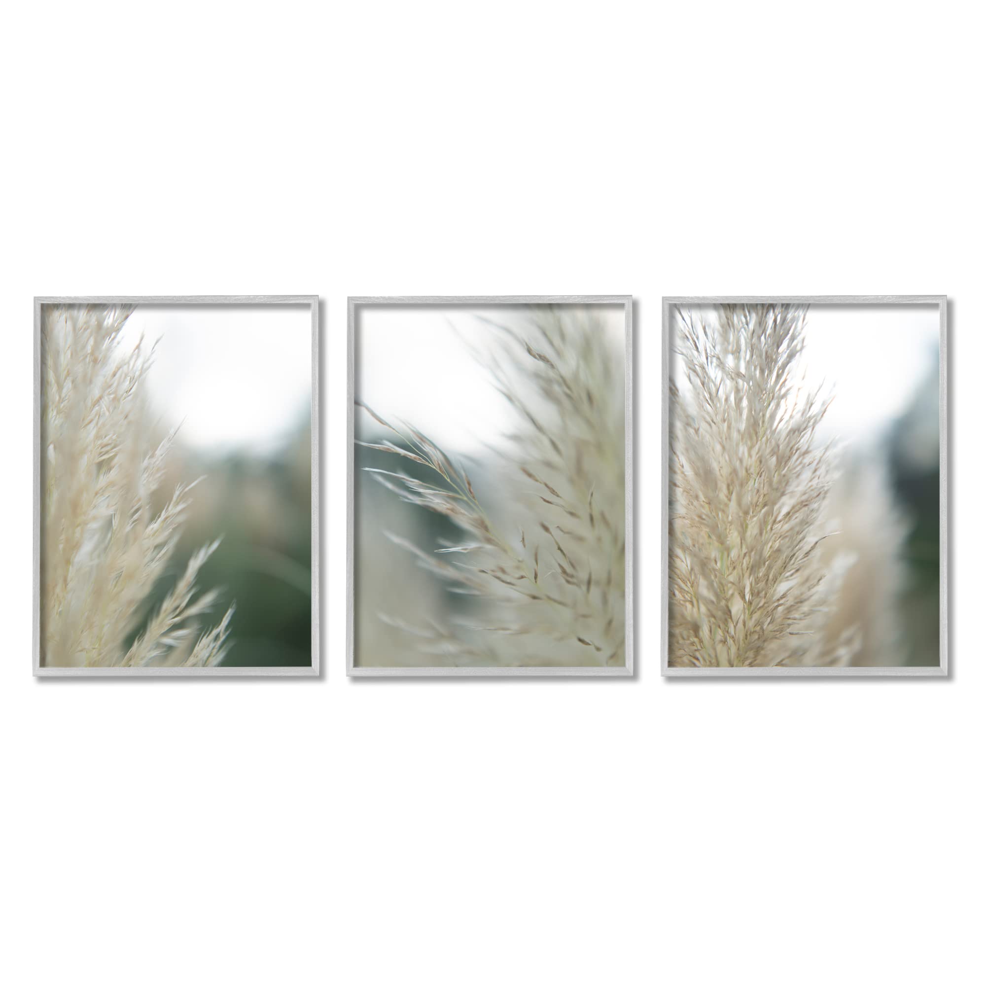 Photo 1 of --SEE NOTES**Stupell Industries Breezy Pampas Tall Grass 3pc Set Framed Wall Art, Design by Jason Johnson Grey Framed 16 x 20
