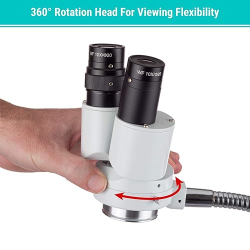 Miniatura 4 de AmScope - Microscopio estéreo binocular de aumento 8X con giro 360 - Dental, laboratorio, reparación electrónica, soldadura, tienda iluminador de