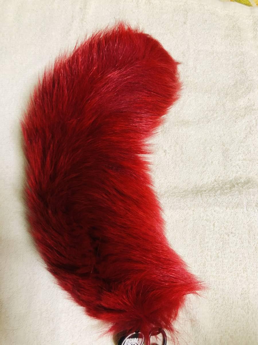 Amazon.co.jp: 氣志團 綾小路翔 SATURDAY NITEしっぽ RED : おもちゃ
