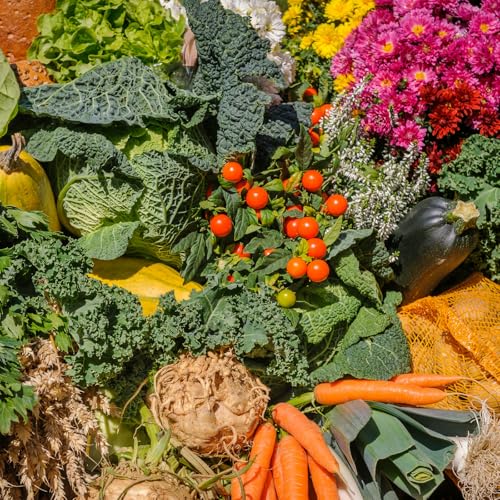 Going garden-to-table cover art