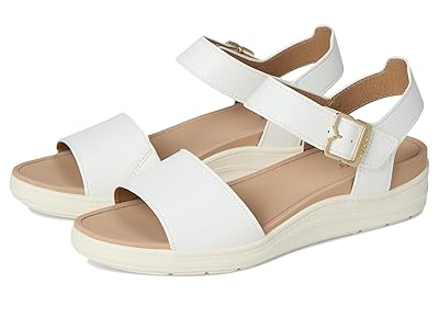 Dr. Scholl