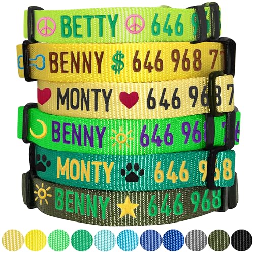 Blueberry Pet Essentials Personalized Dog Collars for Small Dogs | Adjustable & Personalized Dog Collar with Name Tag - Embroidered with Pet Name & Phone Number (Emerald, Small)