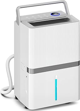 Foto del Deshumidificador HOMCOM ES821-046V90WT0731