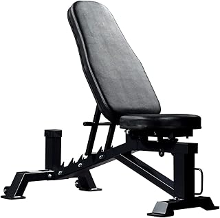 XLSQW Panca Pesi Professionale, Panca da Allenamento Regolabile, Panca Multiuso per Esercizi Piatta/Inclinata, per Allenamento con i Pesi ed Esercizi per Addominali