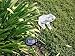 GTMax Solar Frog Color Change Light E2179 (Set of 2)