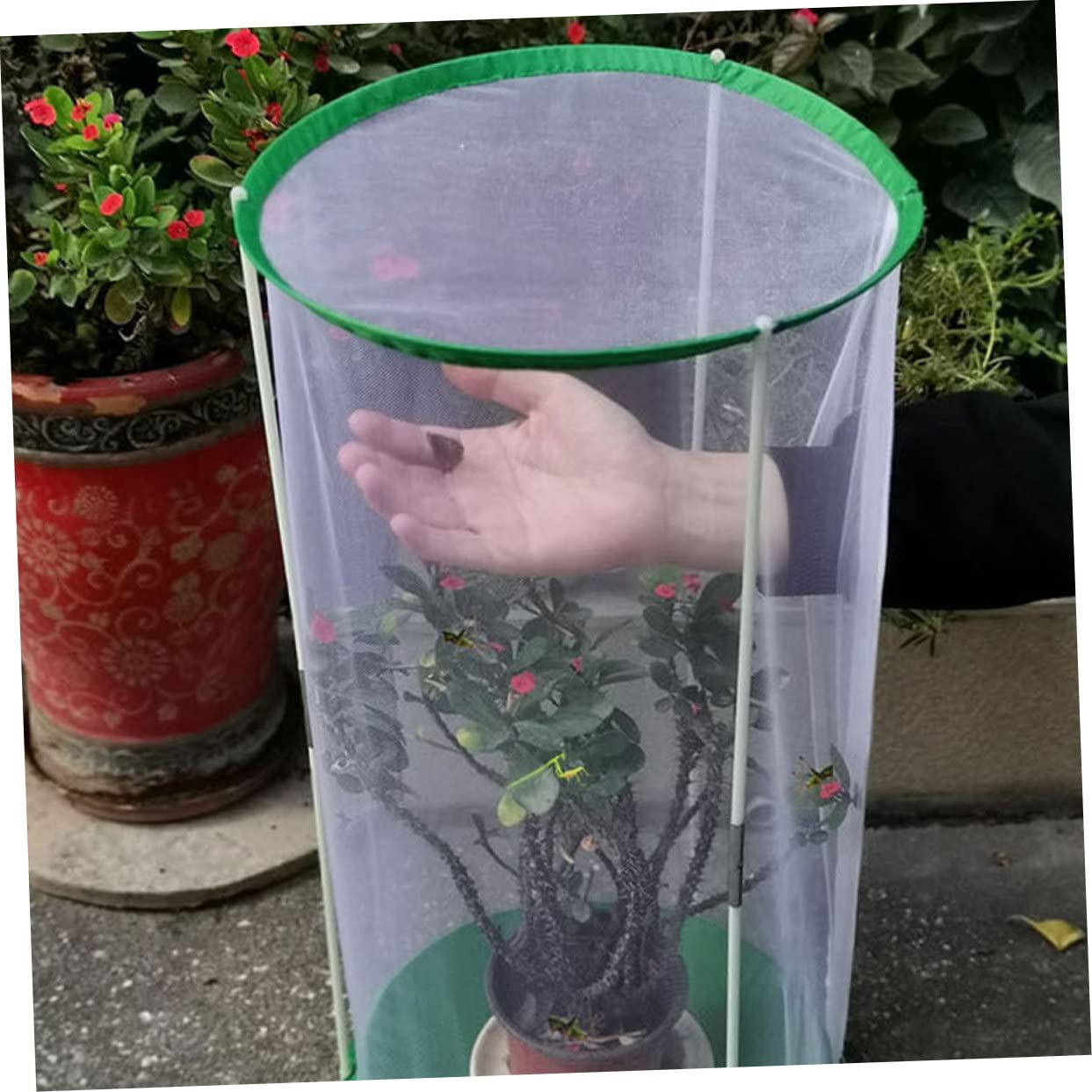 Leichter Insektenkäfig aus Polyester mit Reißverschluss Professionelles Schmetterlingshaus zur Beobachtung und Zucht als Sichtbarer Gartenkäfig für Schmetterlingsbeobachtung