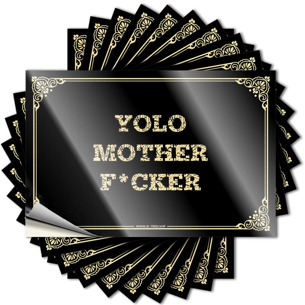 Funny Office Decor, Stickers Funny Nice Quote Stickers, Spicy No Residue Decals for Luggage | Cars Party Favor Custom Yolo Motherf*cker(6X9CM)