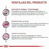 Ver la foto 4