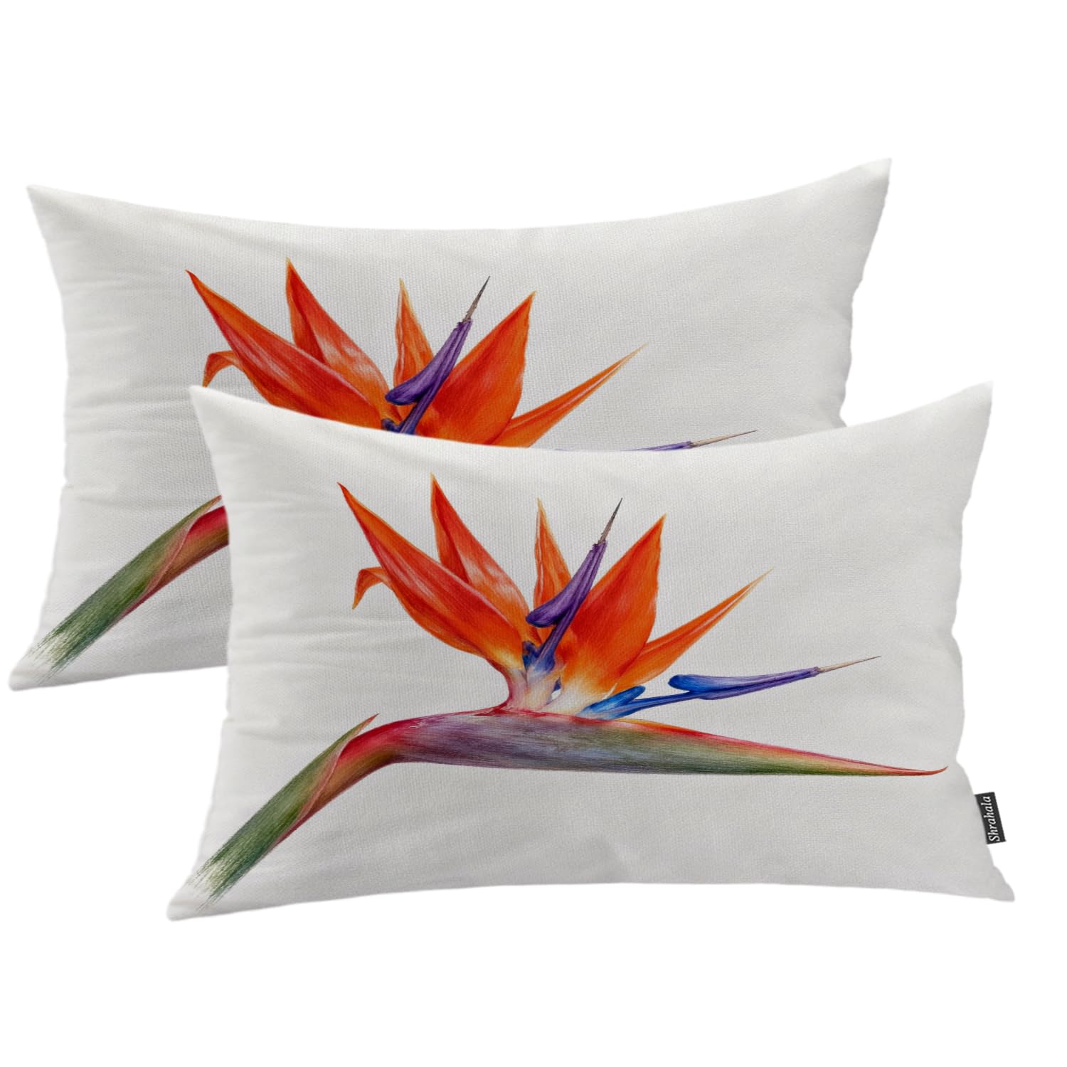 Housse de coussin fleurs tropicales orange oiseau du paradis 12x20 imperméable pour lit et canapé
