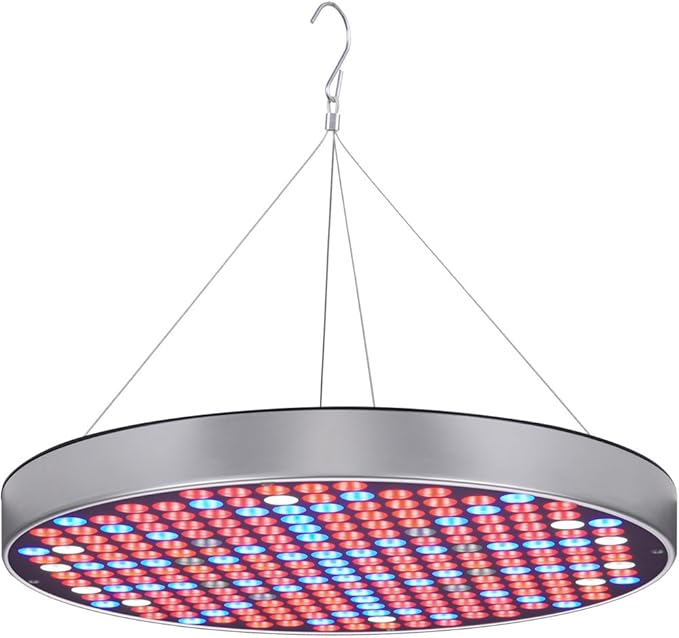 Round led grow lights Clearance