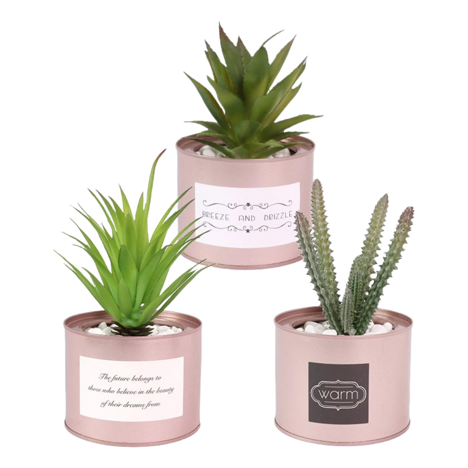 Plantes artificielles d'intérieur succulentes et mini bonsaï pot en fer