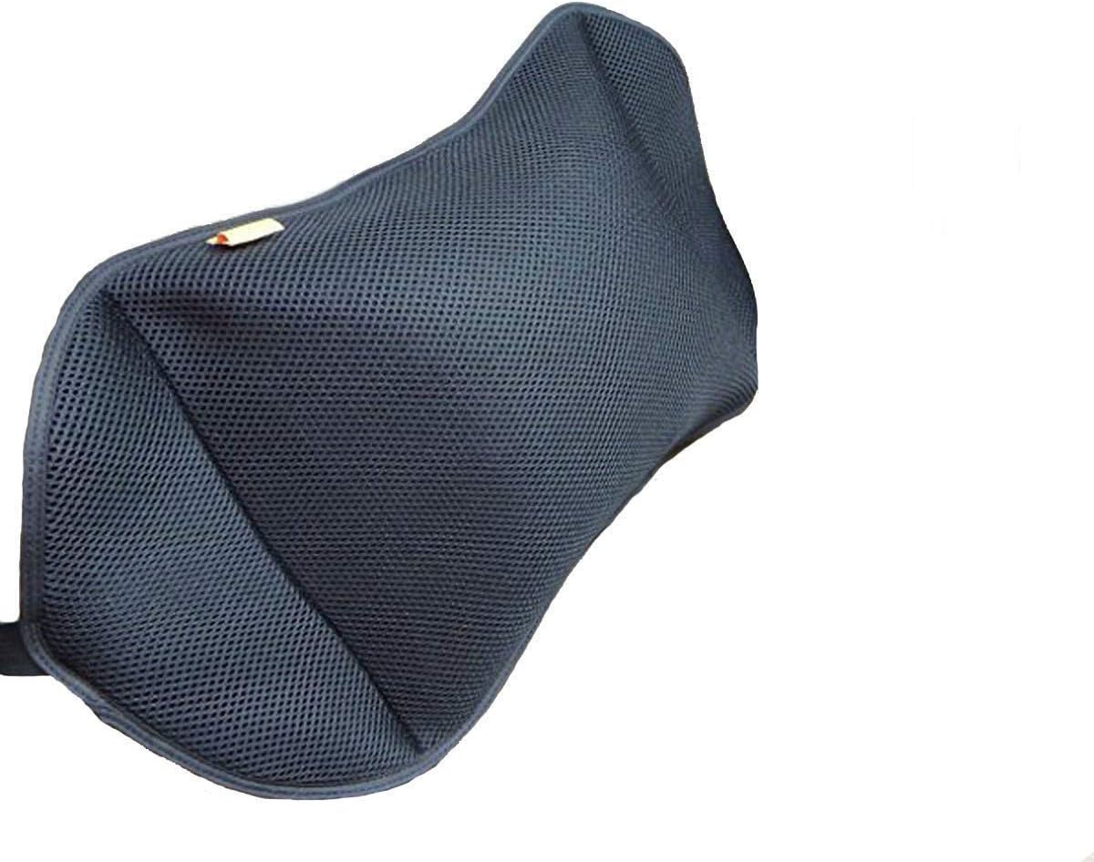 Air Inflatable Cushions Back Lumbar Support Portable Pillow with Pump for Car, Home, Office, Travel, Camping Mesh Pillow Case Removable (Black)