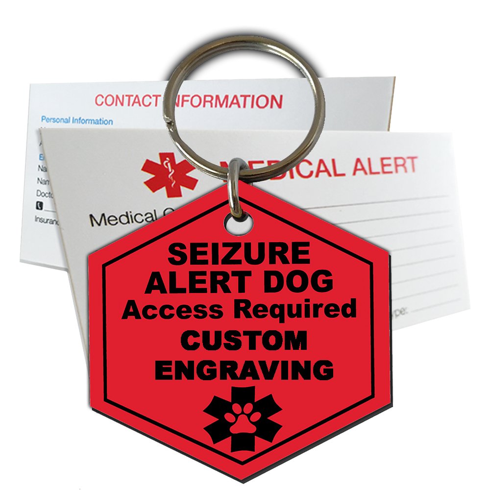 How Much Does A Service Dog Cost For Epilepsy