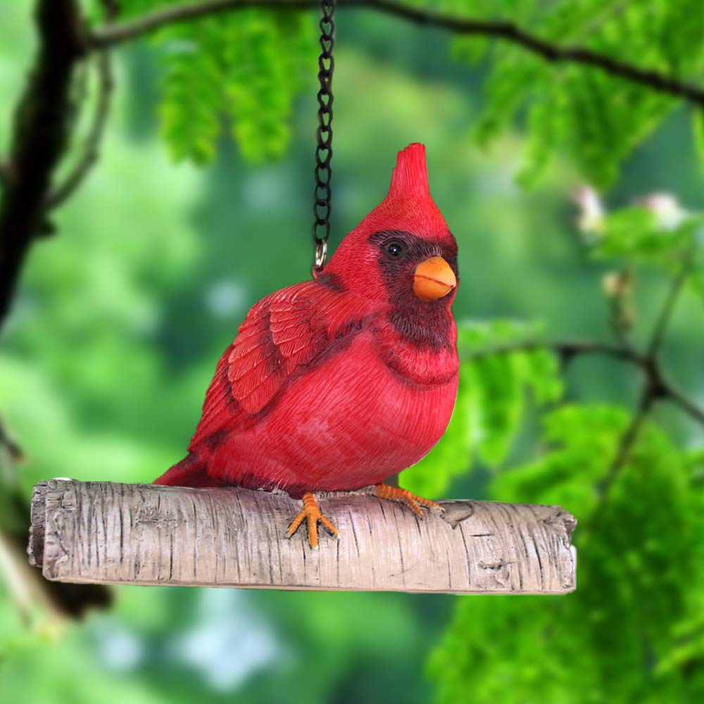 Amazon.com : Claratut Mini Red Cardinal Bird Ornament On A Tree