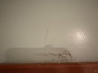 Review Image by Zach Zach