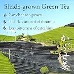 YAMASAN KYOTO UJI Japanese Kabusecha Green Tea, 100% First-Harvest Loose Leaf, Premium Shade-Grown Green Tea, Well-Balanced of Freshness, Sweetness and Umami, Made in Japan 100g