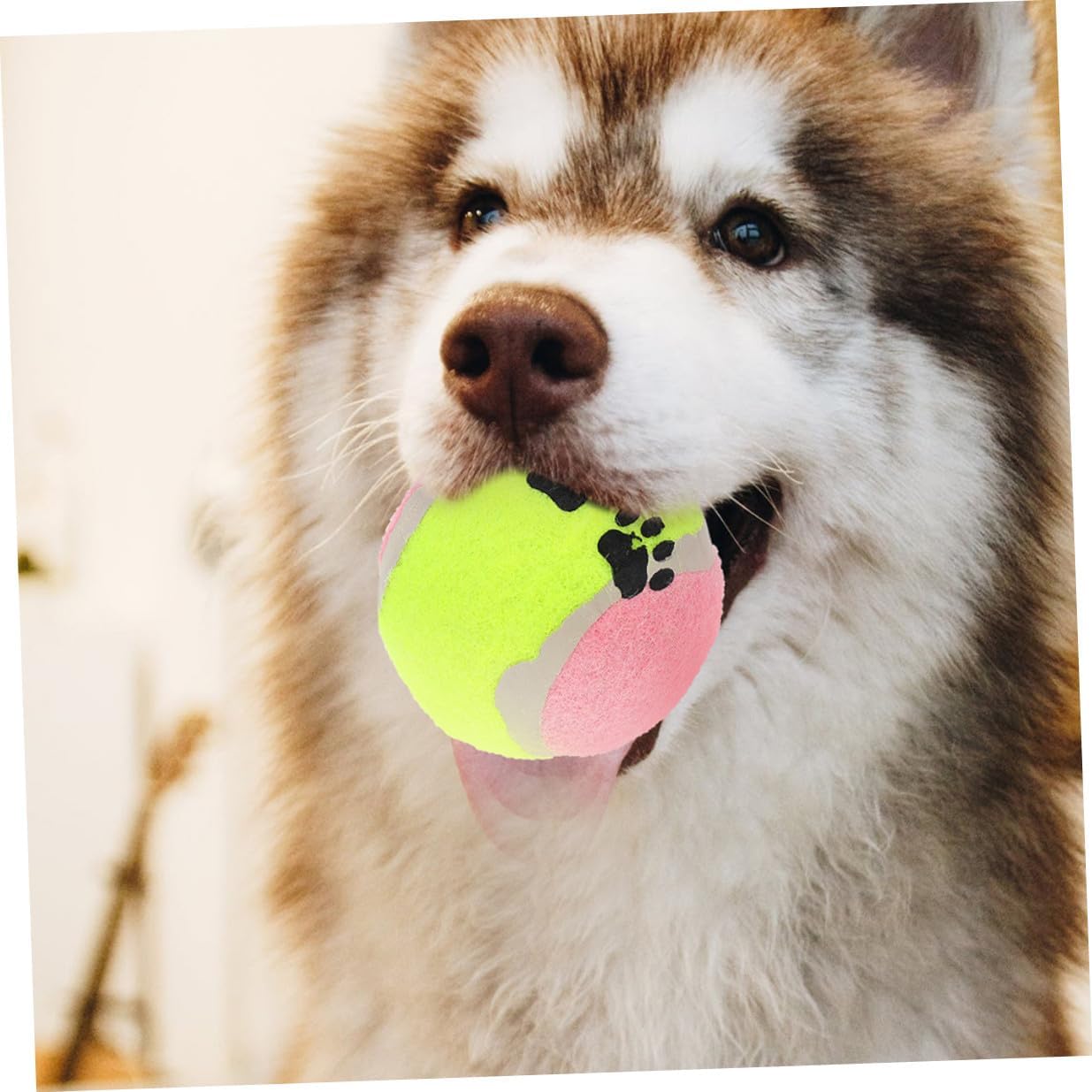 16pcs Dog Rubber Molar Balls Interactive Chew Small Puppy Training Balls Sturdy Rubber 7cm Diameter for Aggressive Chewers and Active Dogs Random Color