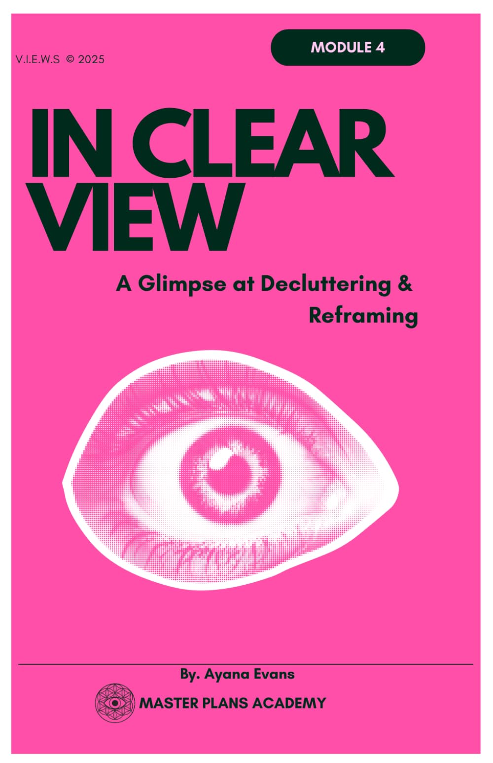 In Clear VIEW: A Glimpse at Decluttering & Reframing (The V.I.E.W.S. Universe)
