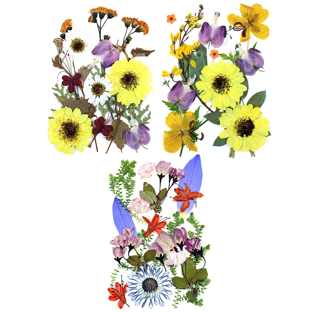 15 Pcs Dried Pressed Flowers for Resin, Real Pressed Flowers Dry Leaves Kit for Scrapbooking DIY Art Crafts, Epoxy Resin Jewelry Molds, Candle, Soap Making, Nails Décor, 3 Packs Style 17