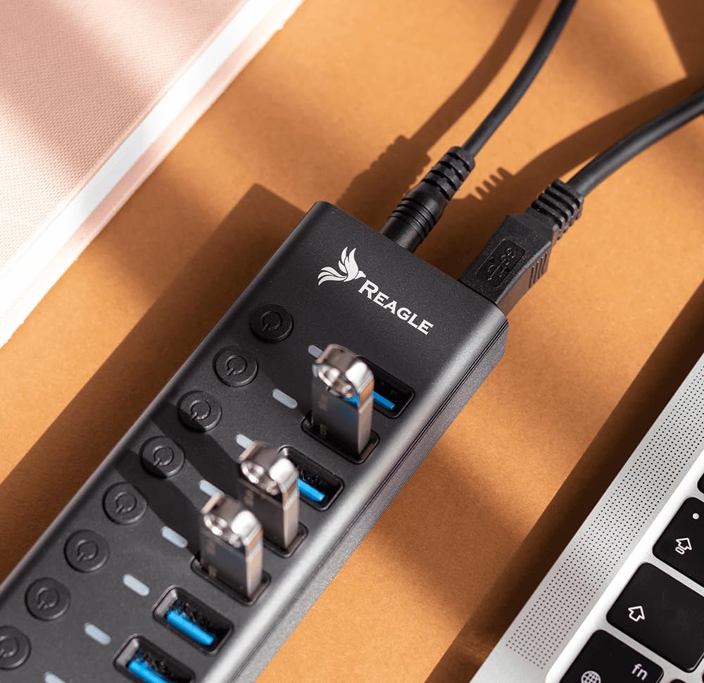 Reagle HUB 10IN1 USB 3.2 Gen 1 Hub mit 10 Ports 10 Daten, 5 Gbps Datenübertragung, 36W Netzteil, Einzelschalter pro Port, Plug & Play, LED-Anzeigen, Aluminiumgehäuse