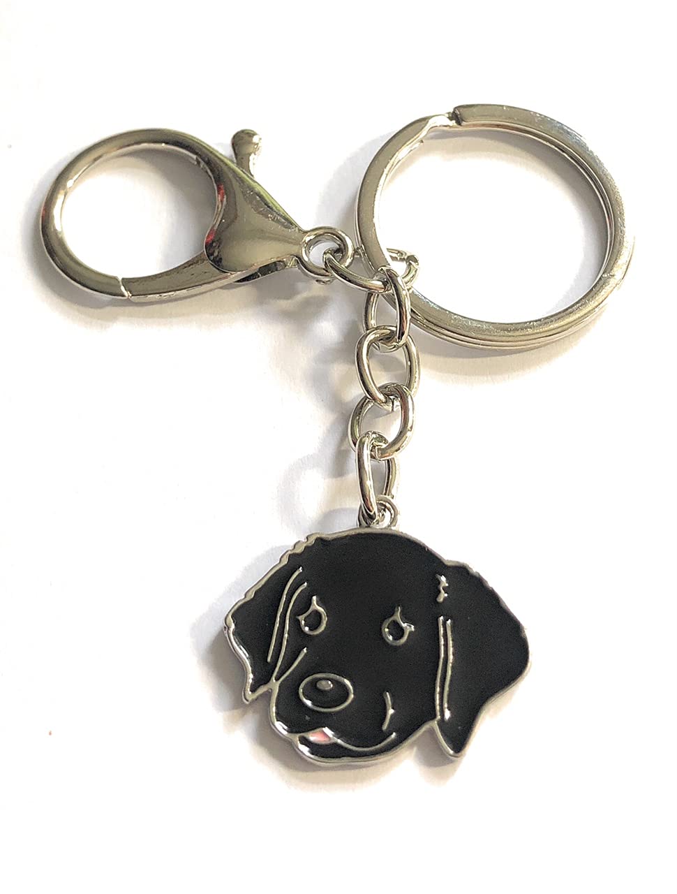Black Labrador Labrador Keyring Fizzybutton Gifts Black Labrador - Main Image