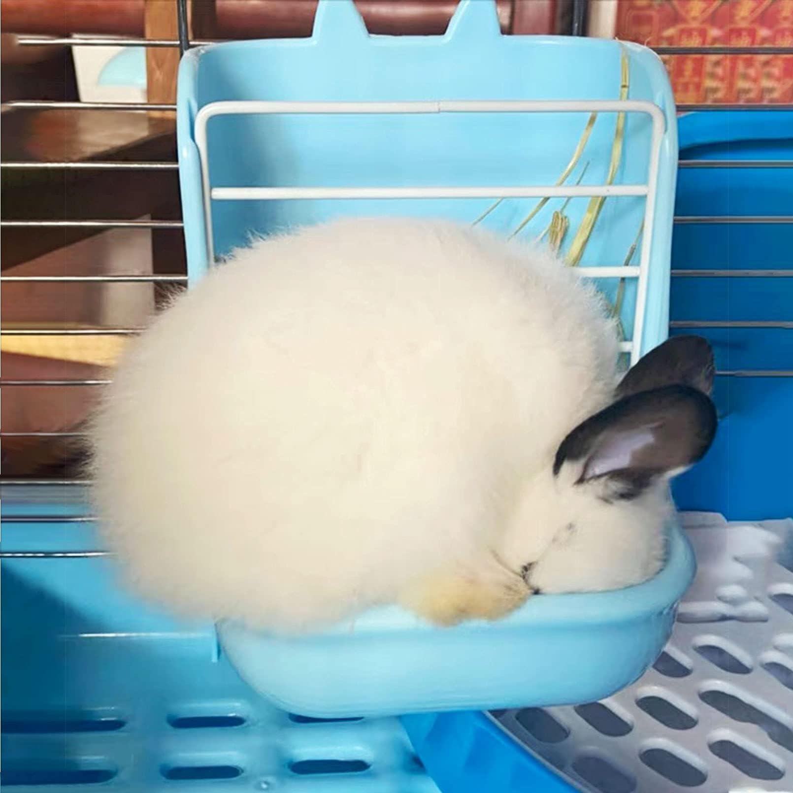 Hamiledyi 2PCS Rabbit Hay Feeders Rack 2 in 1 Feeder Bowls Double Bunny Feed Holder Grass Food Supplies for Chinchillas Guinea Pig Hamsters (Pink+Blue) - image 7