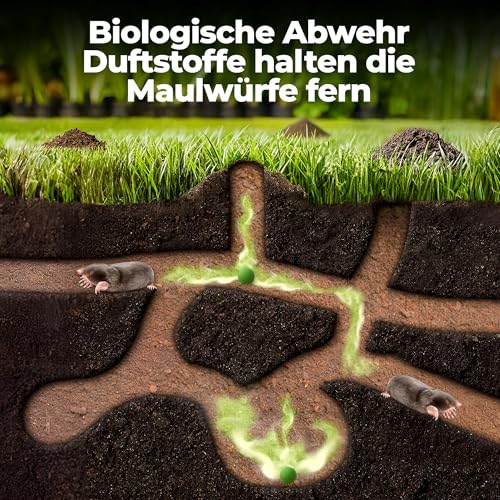 Maulwurf Vertreiber Kugeln 100 STK | EFFEKTIVE Schädlingsabwehr durch natürliche Wirkungsstoffe | OHNE GIFT | Mit Sofort- und Langzeitwirkung für Ihren Garten