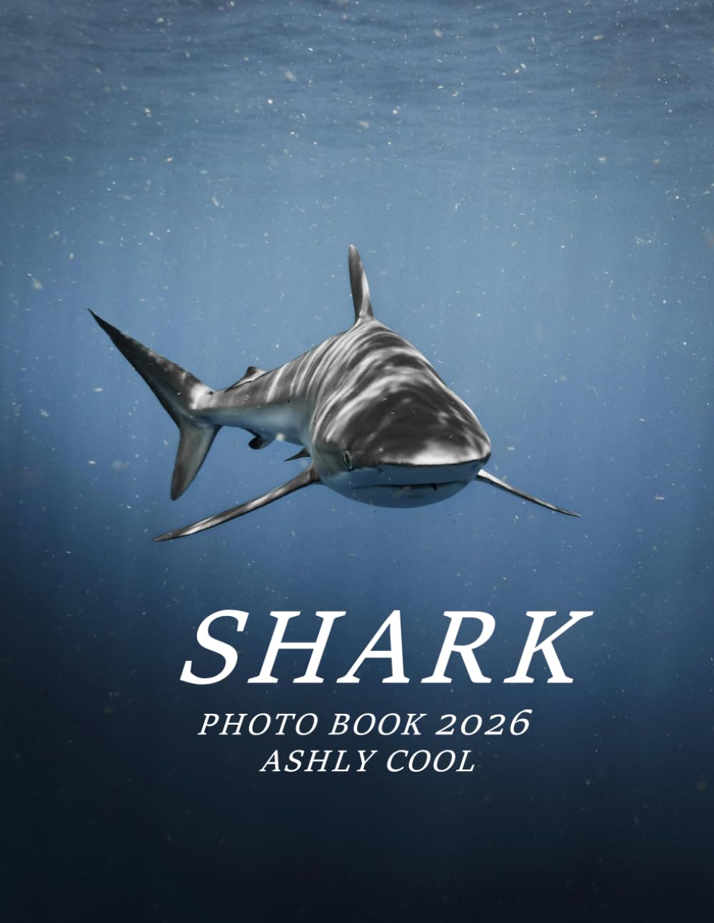 shark: Cool Pictures That Create An Idea For You About - Perfect Gift for tourism & travel lovers.....Relaxing & Meditation.