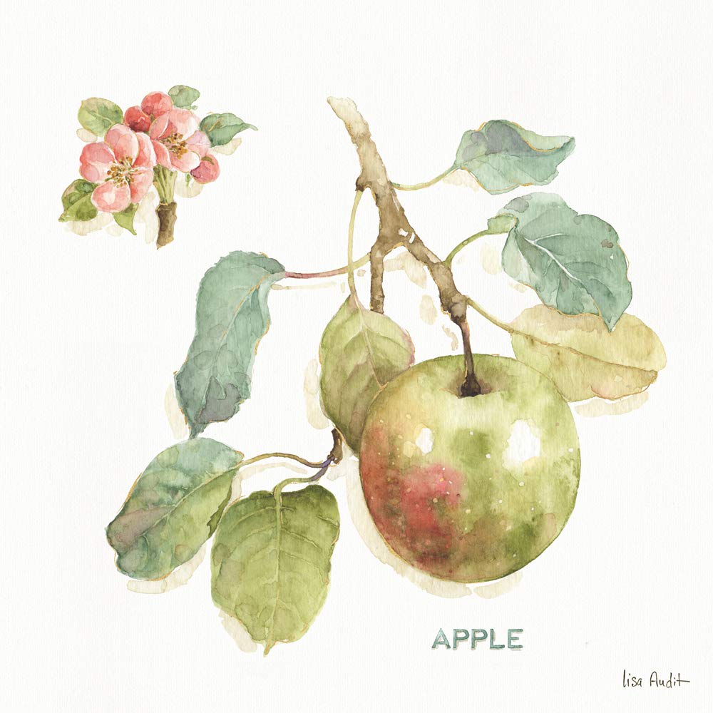 International Graphics - Finished Picture - Lisa, Audit - ''Orchard Bloom I''- 30 x 30 cm - Direct printing on acrylic glass