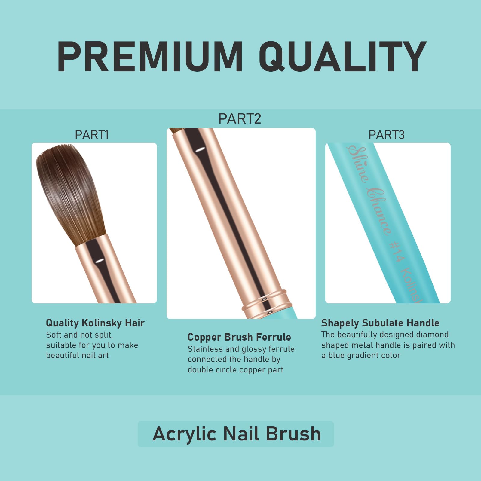 Pure Kolinsky Hair Acrylic Nail Art Brush Oval Nail Extension Tool
