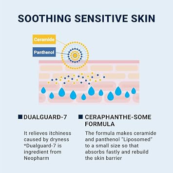 Derma B Ceramd Repair Cream Wash, Unscented Fragrance Free Creamy Face & Body Cleanser For Dry Sensitive Itchy Skin, Deep Moisture Paraben-Free Body Wash, Cream To Foam Cleanser, 13.5 Fl. Oz., 400 ml | Creamy Face & Body Cleanser | Fragrance-Free Body Wash for Dry Sensitive Skin | Deep Moisture Foam | Paraben-Free | Unscented