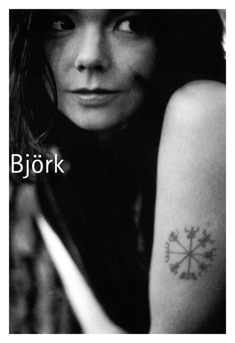 Amazon.com: Bjork Poster, Experimental Singer & Songwriter
