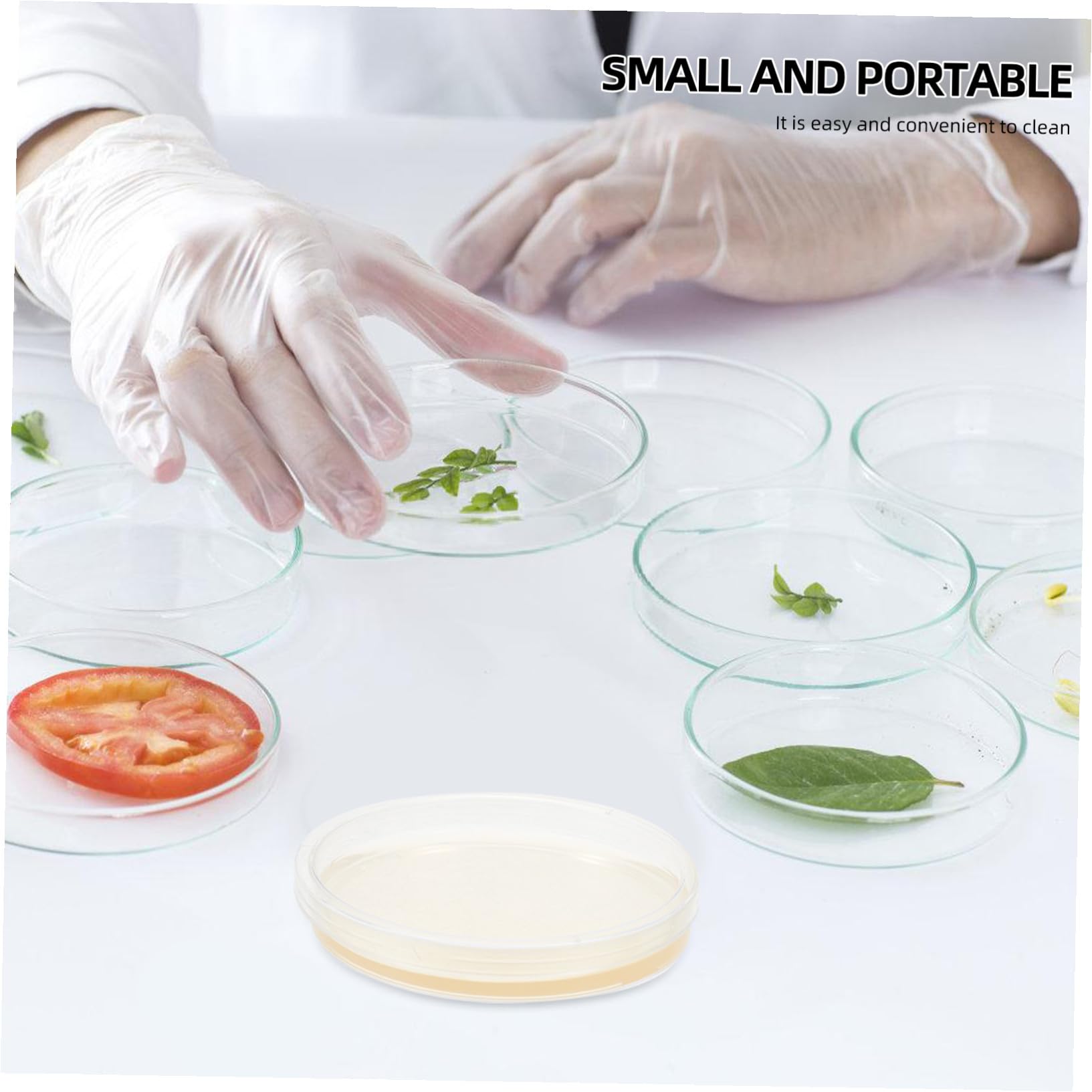 Placas de Petri de Agar Pre-vertido 10piezas 9cm Lb para Aislamiento | Suministros para Experimentos, Placas de Agar para Laboratorio, Decoracion Colegio