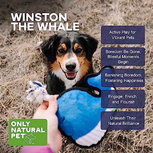 Juguete mordible de peluche Only Natural Pet Winston Ballena miniatura 3