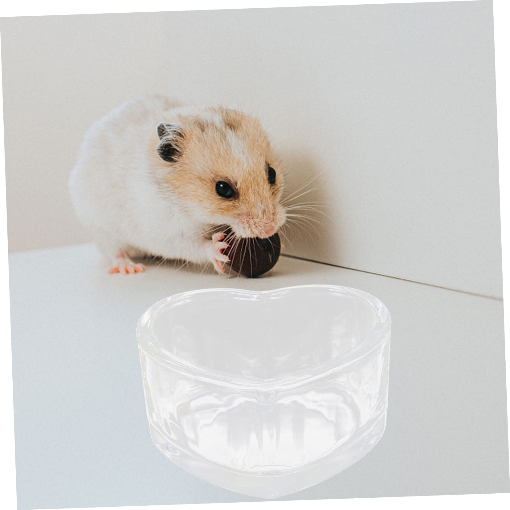 POPETPOP 6 STK Futternapf Für Hamster Tränkeschale Für Hamster Meerschweinchen Zeug Hamsternapf Für Futter Futternapf Für Meerschweinchen Hamster Fressnapf Haustier Glas Kombination