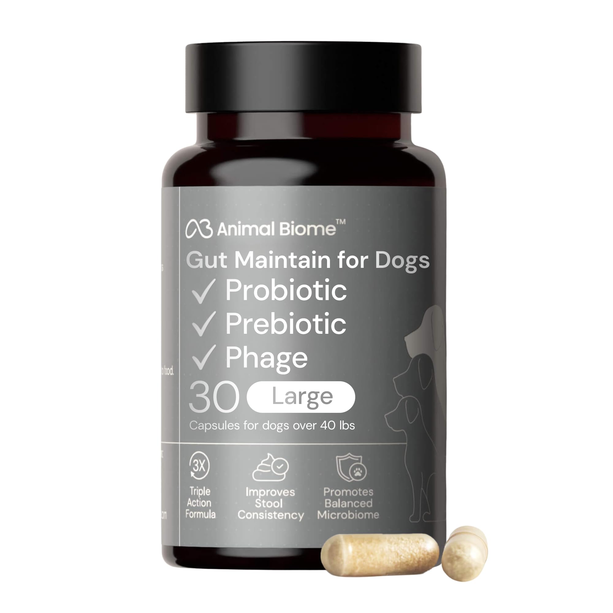 Animal Biome Large Dog Pre and Probiotics, S Boulardii, Gut Maintain, 30 Ct