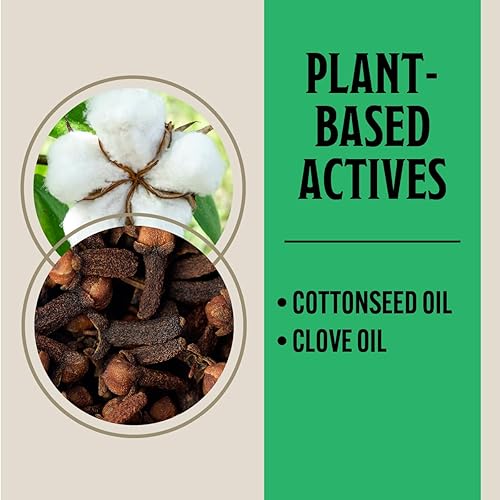 Miniatura 3 de Grandpa Gus's Natural Advanced - Concentrado para matar plagas, activos a base de plantas, mata rápidamente 46 especies de insectos, uso en