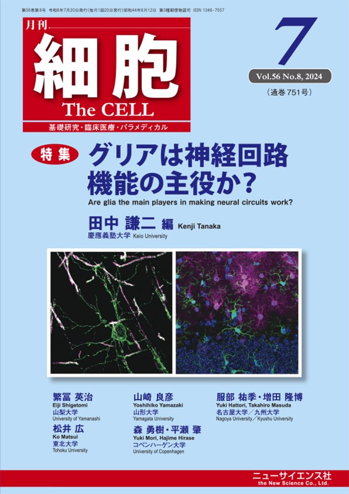 細胞　2024年7月号　グリアは神経回路機能の主役か？