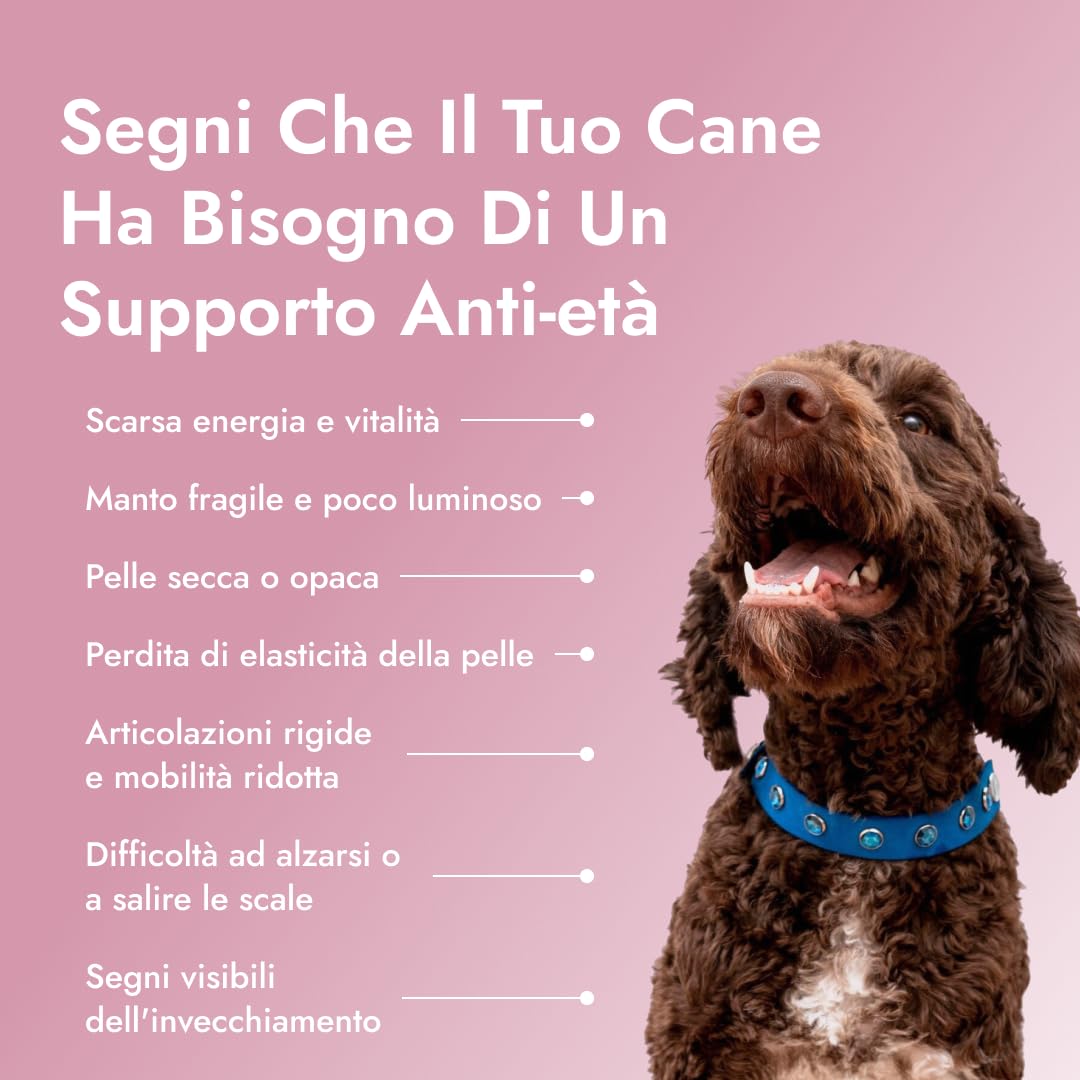 Pawse Aging Collagen – Integratore Anti Età Naturale per Cani con Triplo Collagene, Vitamine e Prebiotici – Per Pelle, Pelo, Articolazioni, Digestione e Immunità (1x 210 g)