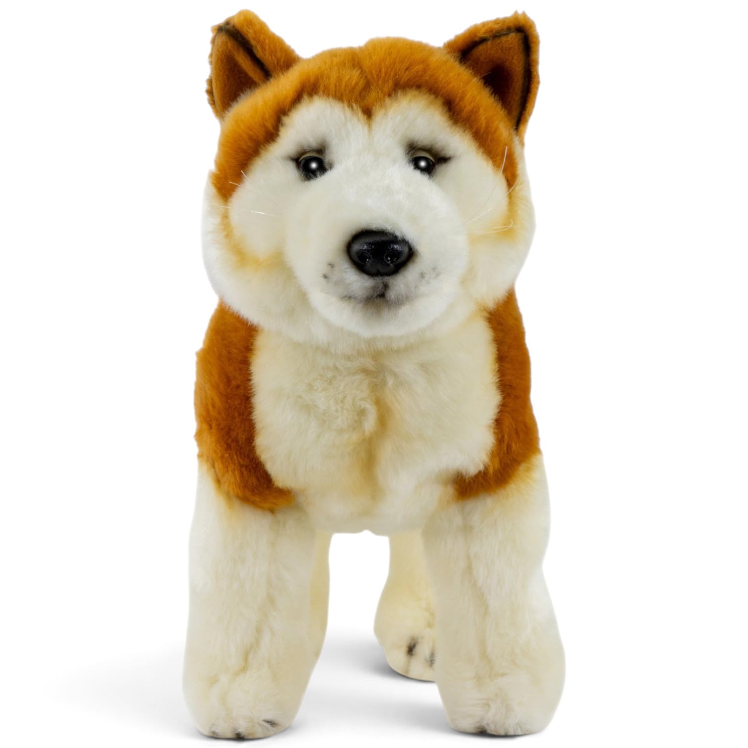 Carl Dick Akita pies ok. 30 cm, pluszowa zabawka, pluszowa zabawka, przytulanka 3636