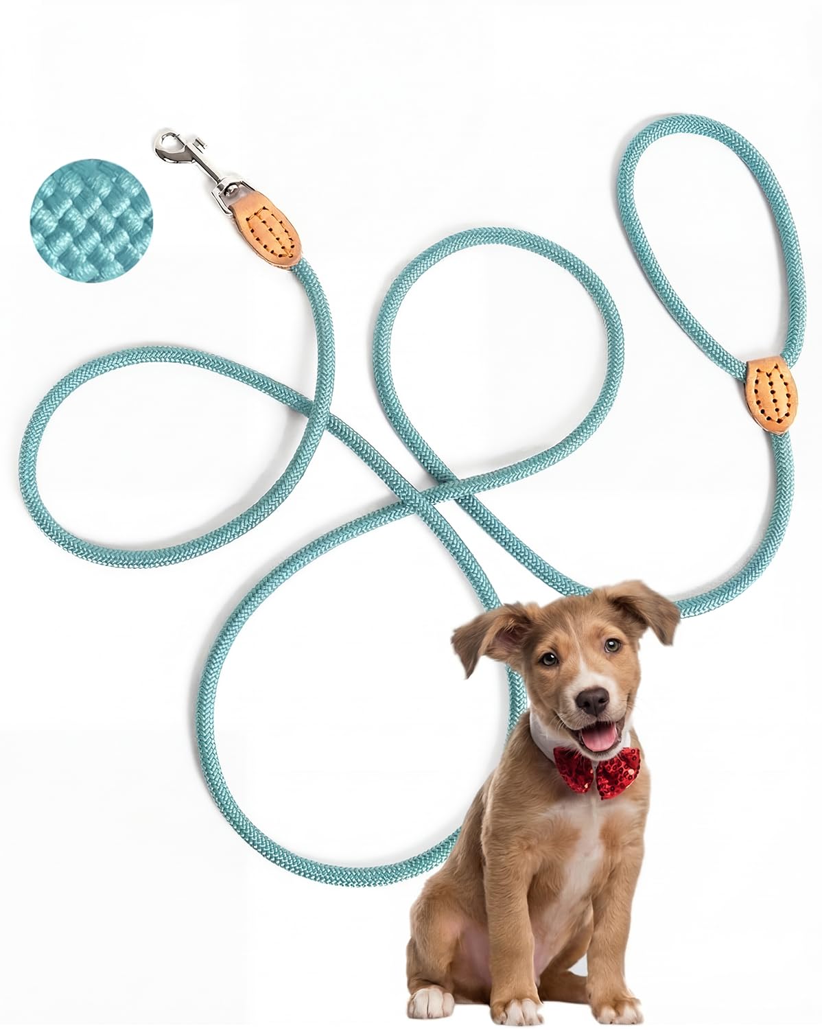 LeileiPaws Tauleine Hund – Nylon Hundeleine für kleine, mittelgroße & große Hunde – hundeleine leicht mit Schlaufe für kleinere Hunde, robuste Hundeleine große Hunde (2m x 0,8cm, Hellblau)