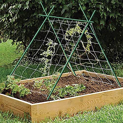 Image of BLOOMAX 2 Feet Hardwood Plant Support Sticks | Pack of 30 Durable Wooden Garden Stakes | Includes Free Twist Ties | Eco-Friendly Support for Small Potted Plants, Herbs & Flowers