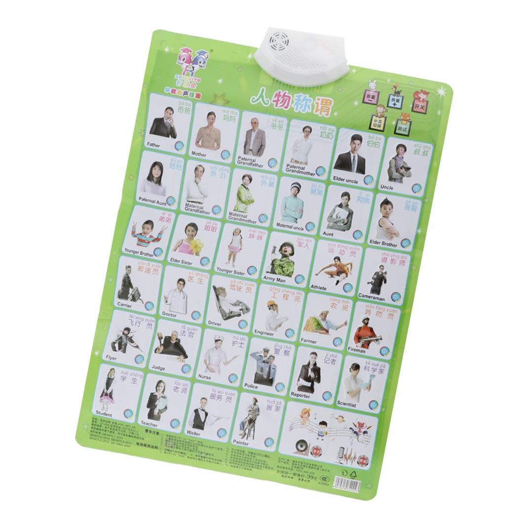 LOOM TREE® O Chart for Kid Child Early Cognition Educational Toy Personage | 1 Piece Bilingual Sound Wall Chart Toy