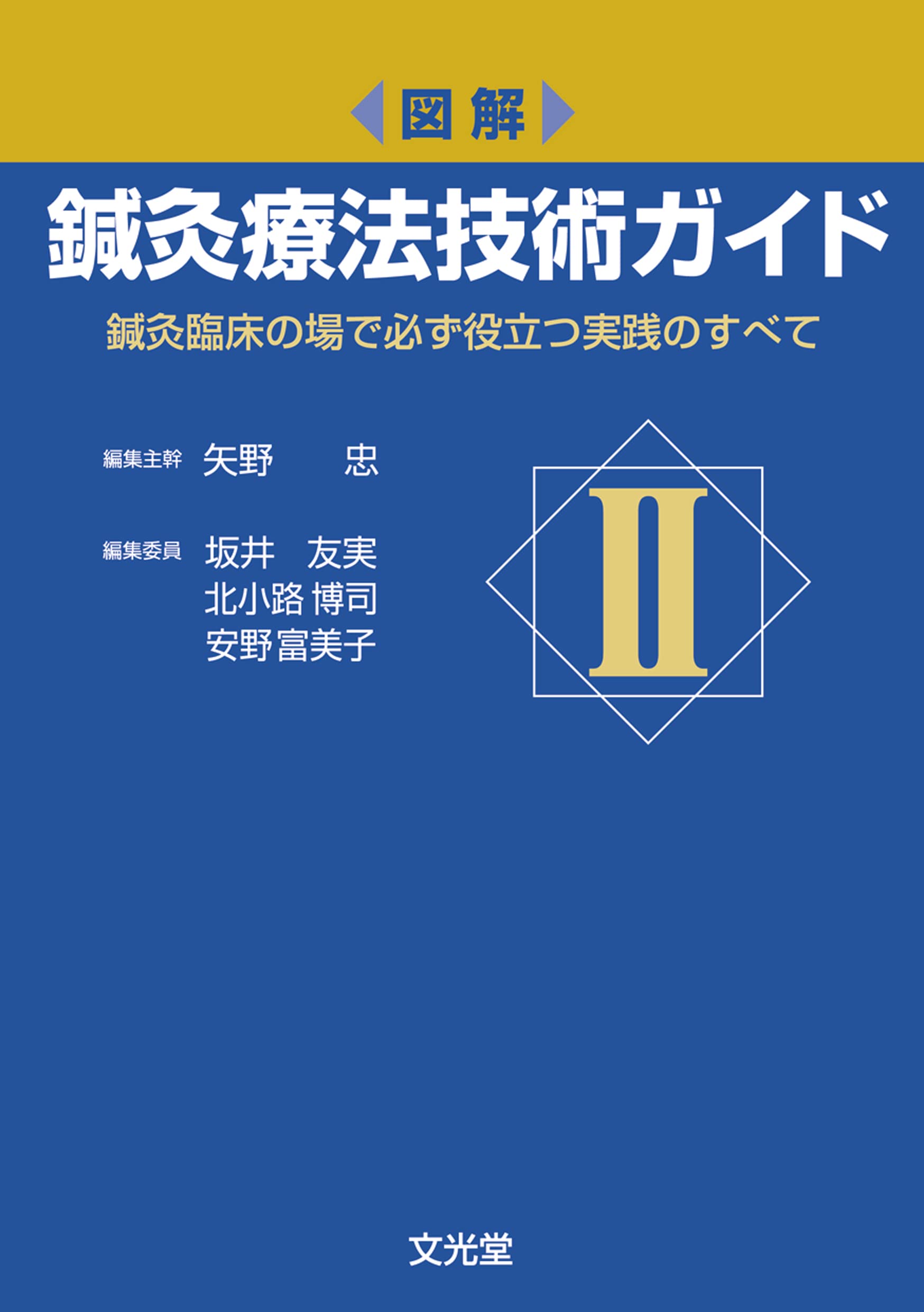 図解 鍼灸療法技術ガイド II: 鍼灸臨床の場で必ず役立つ実践のすべて 