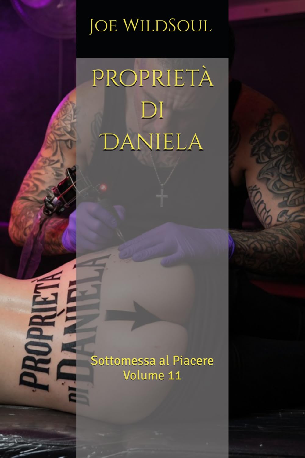Proprietà di Daniela: Sottomessa al Piacere Volume 11