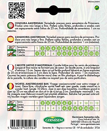 Germisem EC9017 Amsterdam Wortel Zaden 6 g, Meerkleurig - Afbeelding 3